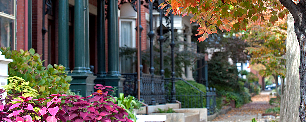 Franklin Street scene during autumn season.
